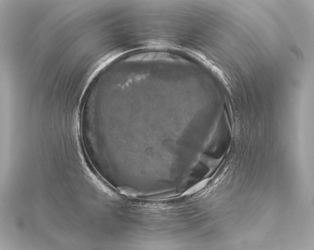 X0000116021239200912041743