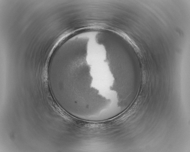 X0000116021240200912041743