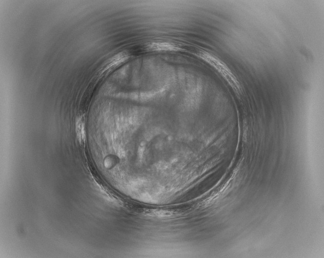 X0000116021241200912041743