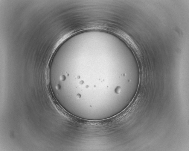 X0000116021242200912041743