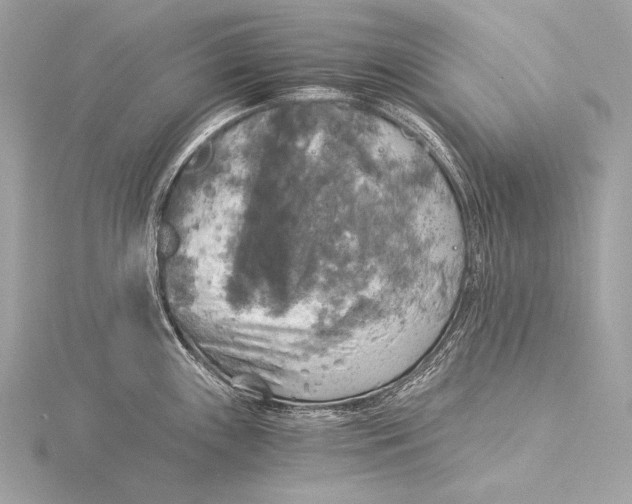 X0000116021243200912041743