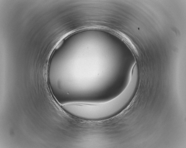 X0000116021244200912041743