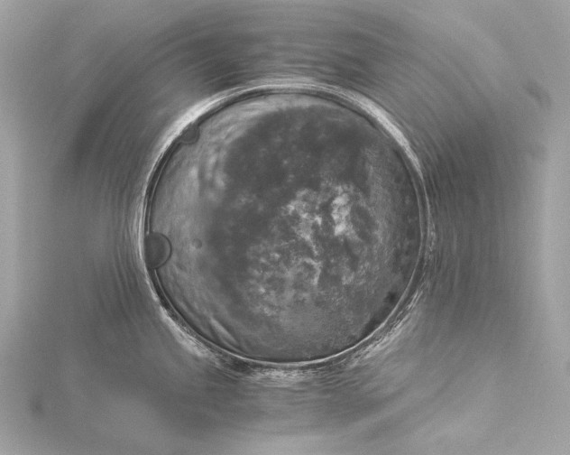 X0000116021245200912041743