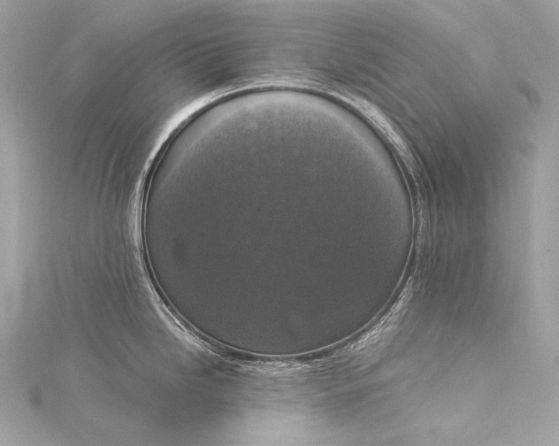 X0000116021246200912041743