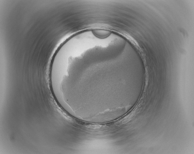 X0000116021248200912041743