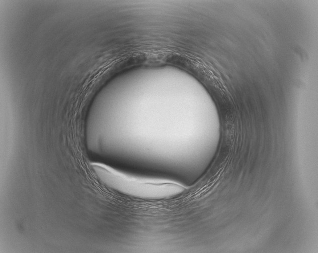 X0000116021249200912041743