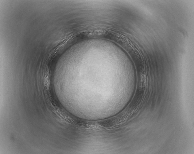 X0000116021250200912041743