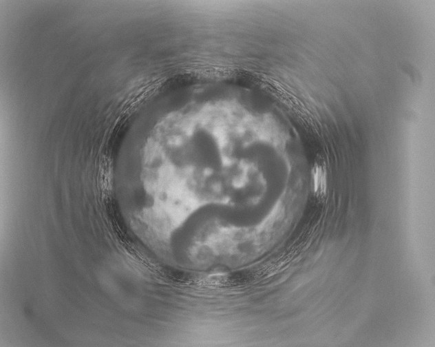 X0000116021251200912041743