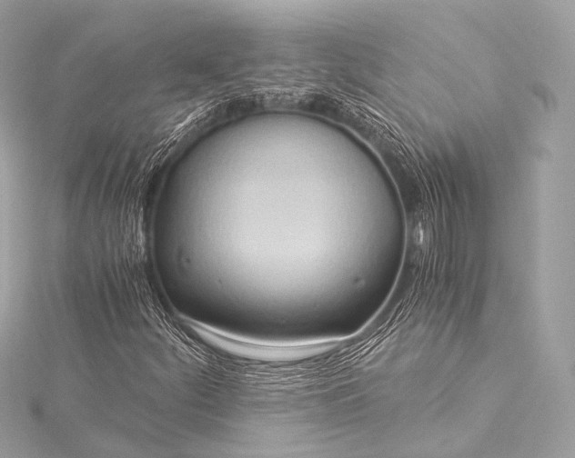 X0000116021252200912041743