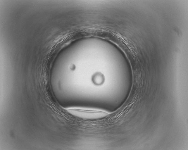 X0000116021253200912041743