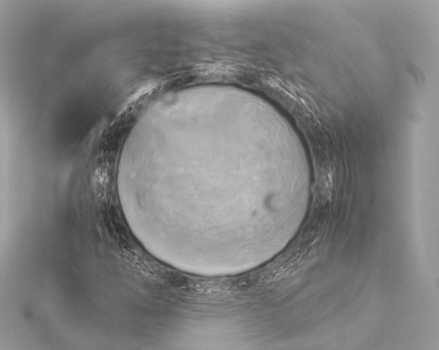 X0000116021254200912041743