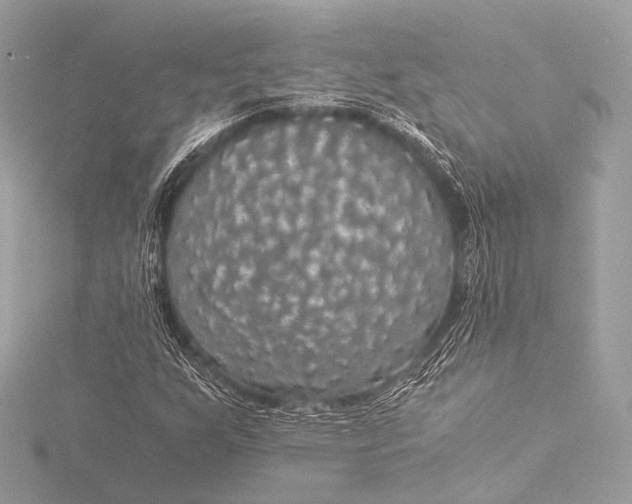 X0000116021255200912041743