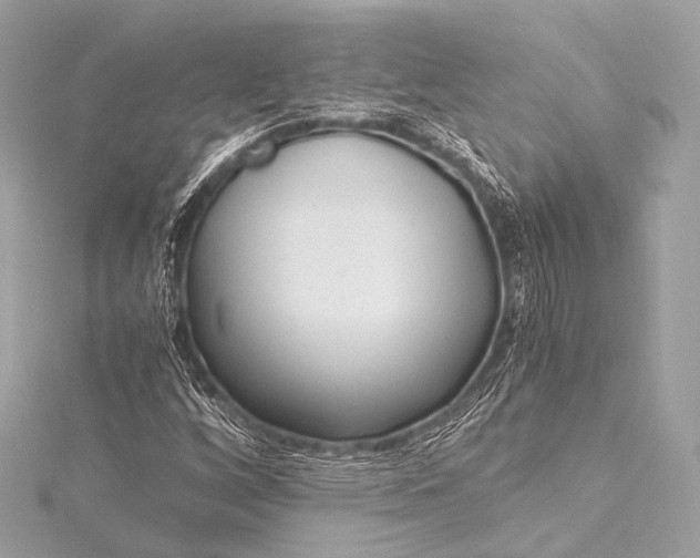 X0000116021256200912041743