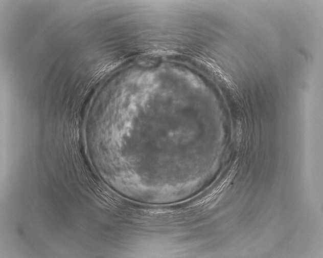 X0000116021257200912041743