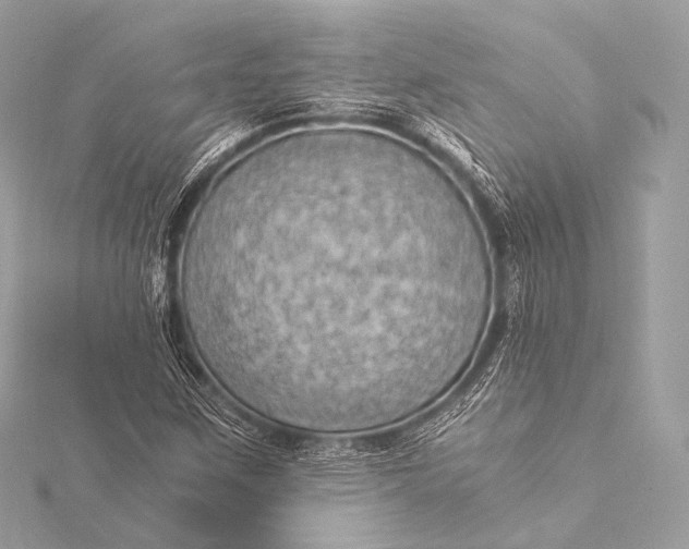 X0000116021259200912041743