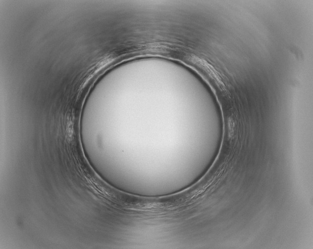 X0000116021260200912041743