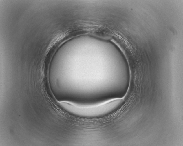 X0000116021261200912041743