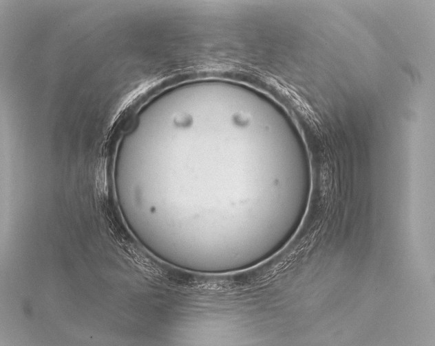 X0000116021262200912041743