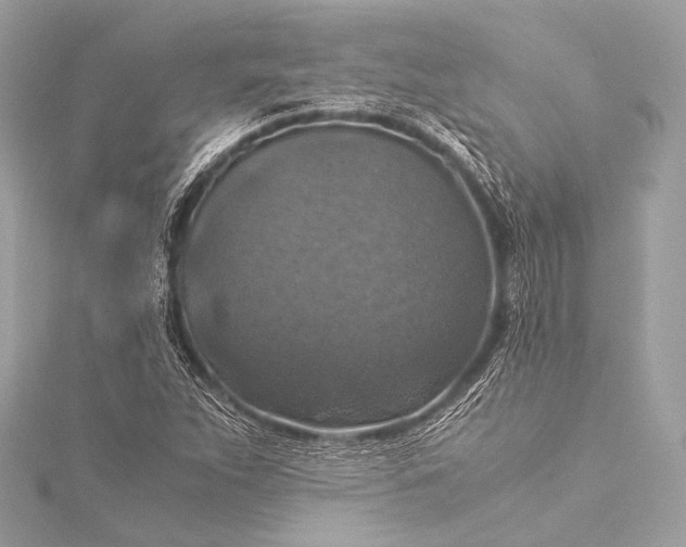 X0000116021263200912041743