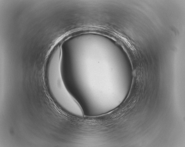 X0000116021264200912041743