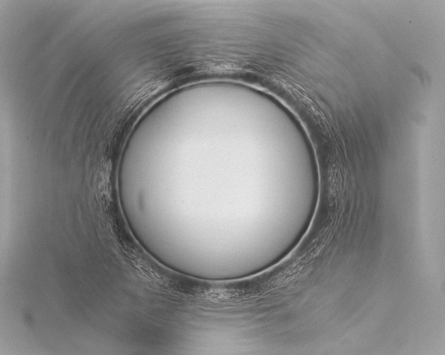 X0000116021265200912041743