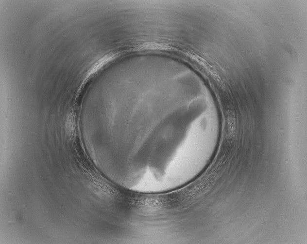 X0000116021266200912041743