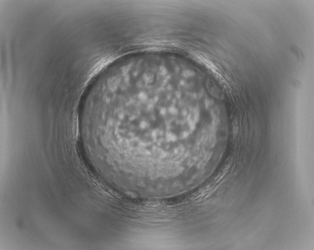 X0000116021267200912041743