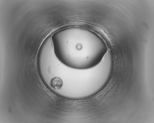 X0000116021268200912041743