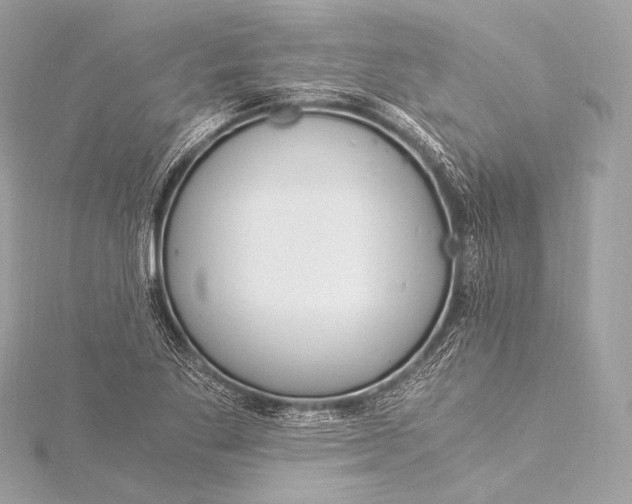 X0000116021269200912041743