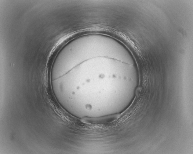 X0000116021270200912041743