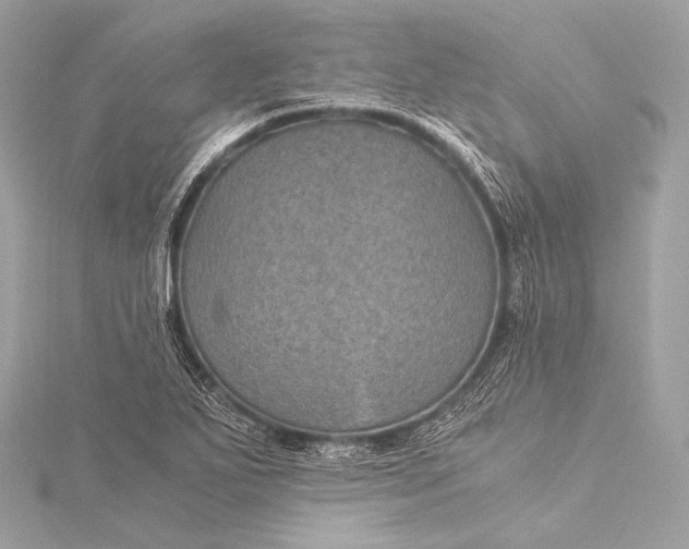 X0000116021271200912041743