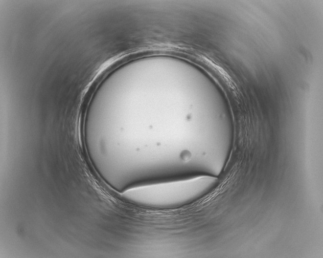 X0000116021272200912041742