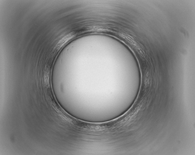 X0000116021273200912041742