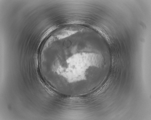 X0000116021274200912041742