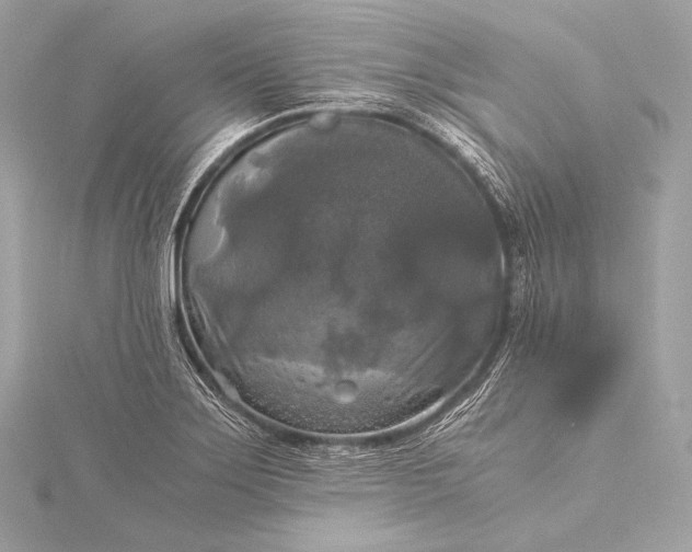 X0000116021275200912041742