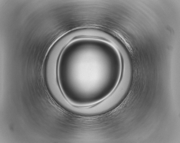 X0000116021276200912041742