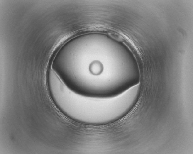 X0000116021277200912041742