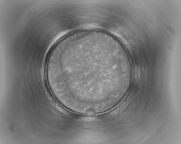 X0000116021278200912041742