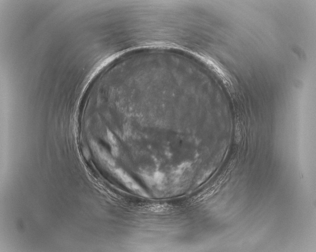 X0000116021279200912041742