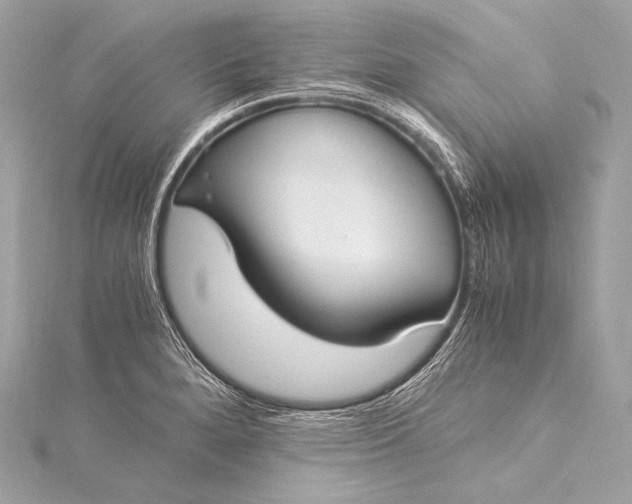 X0000116021280200912041742