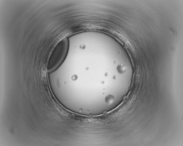 X0000116021281200912041742