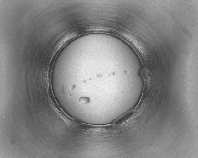 X0000116021282200912041742