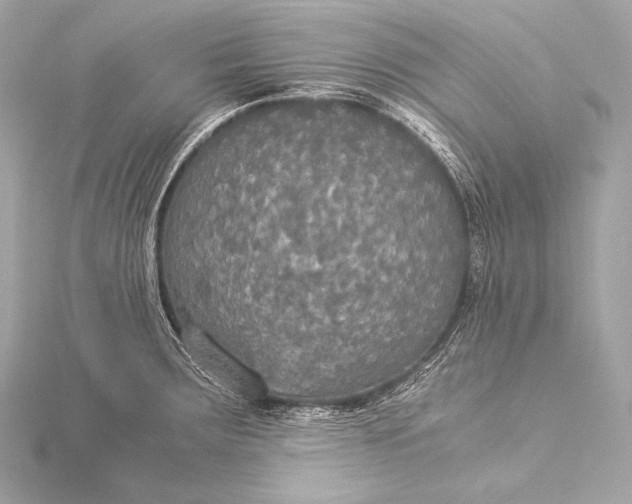 X0000116021283200912041742