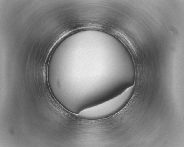 X0000116021284200912041742