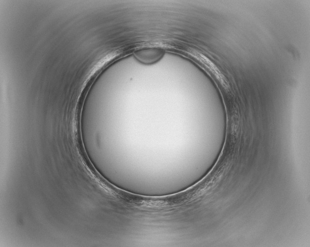 X0000116021285200912041742