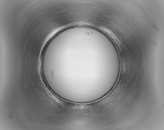 X0000116021286200912041742