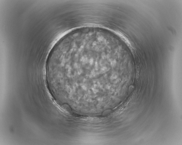 X0000116021287200912041742