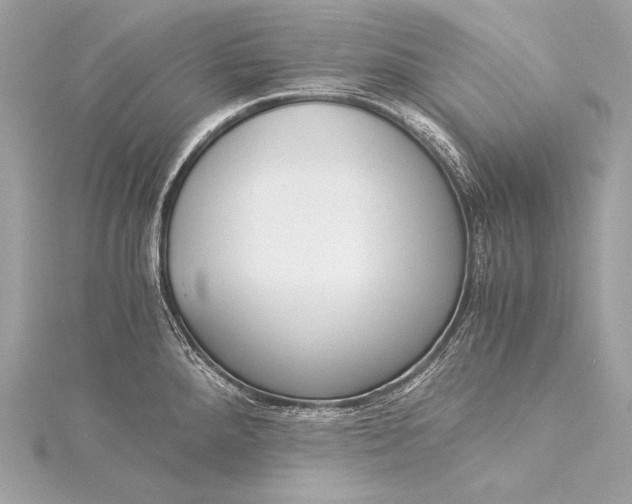 X0000116021288200912041742