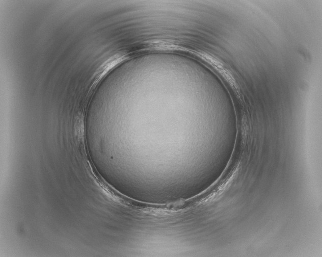 X0000116021289200912041742