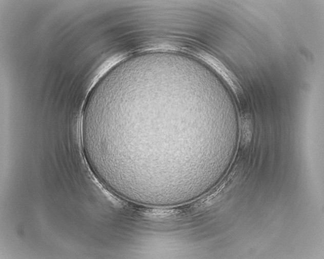 X0000116021290200912041742